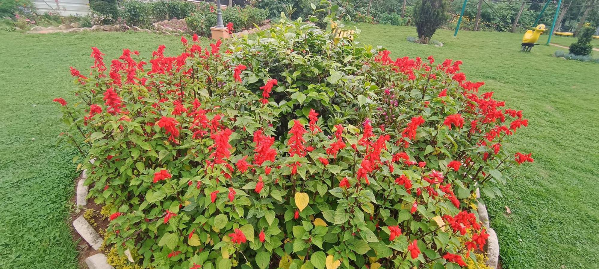 Yantra Resort By Spree Ooty Bagian luar foto
